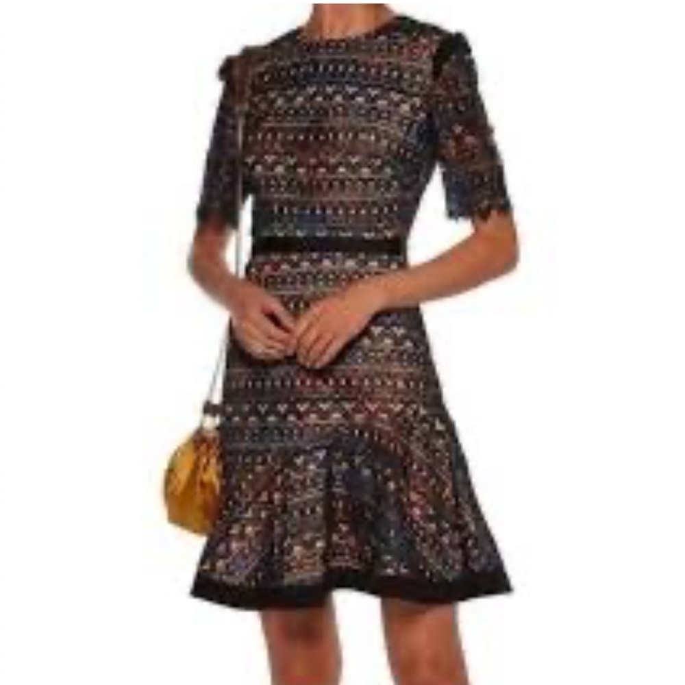 Saloni Juno Butterfly Lace Printed Dress Ruffled Hem Multicolored Size 4